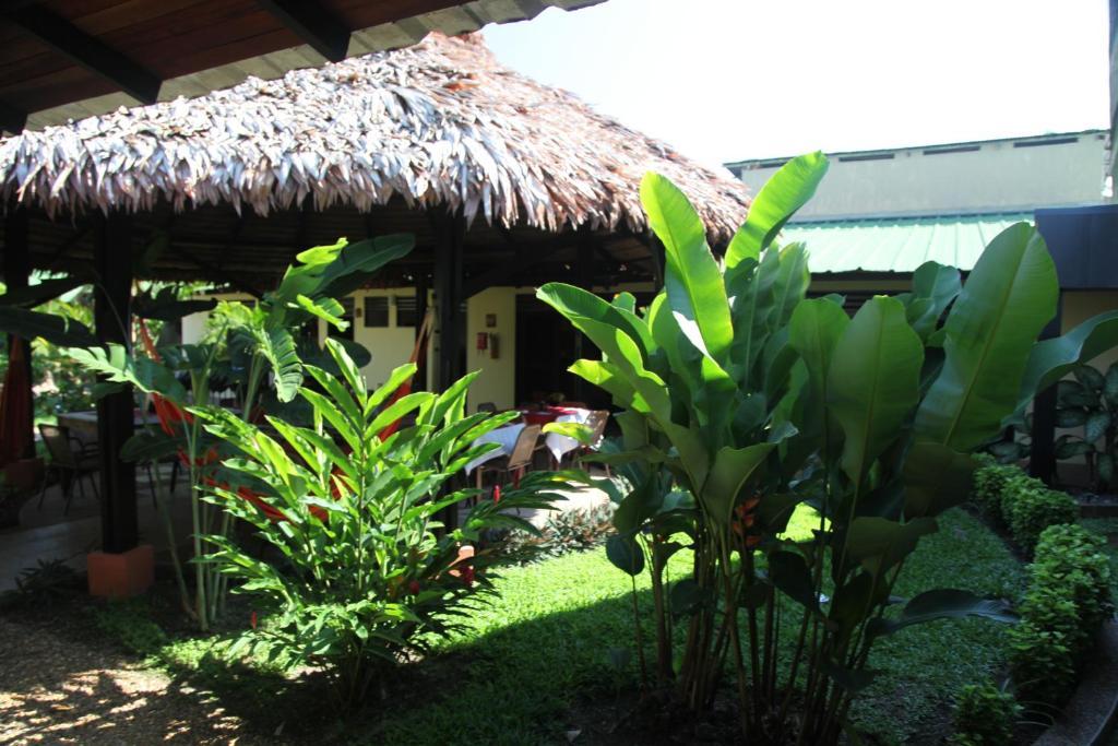 Hotel Amazon Bed And Breakfast เลติเซีย ภายนอก รูปภาพ