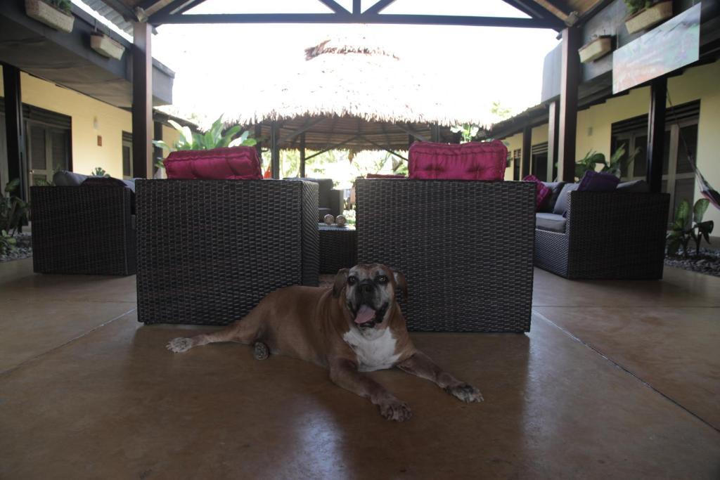Hotel Amazon Bed And Breakfast เลติเซีย ภายนอก รูปภาพ