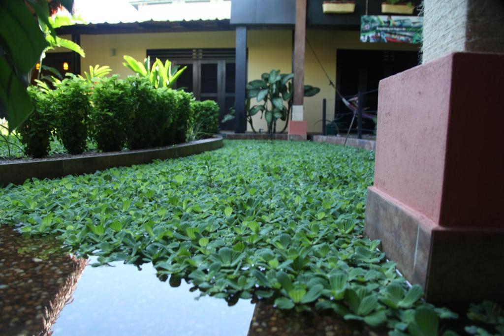 Hotel Amazon Bed And Breakfast เลติเซีย ภายนอก รูปภาพ
