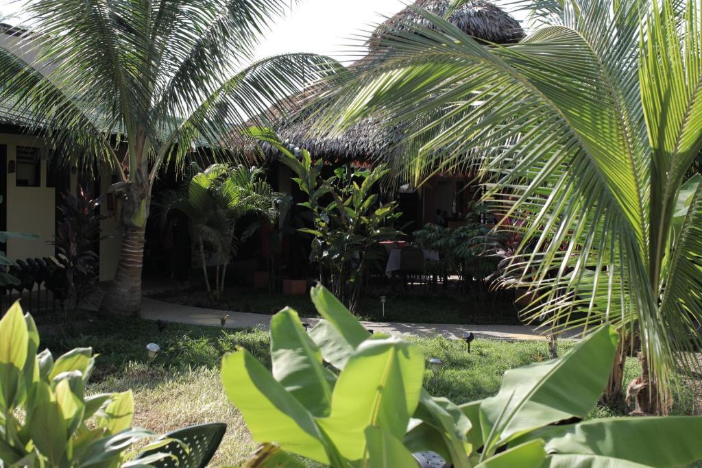 Hotel Amazon Bed And Breakfast เลติเซีย ภายนอก รูปภาพ