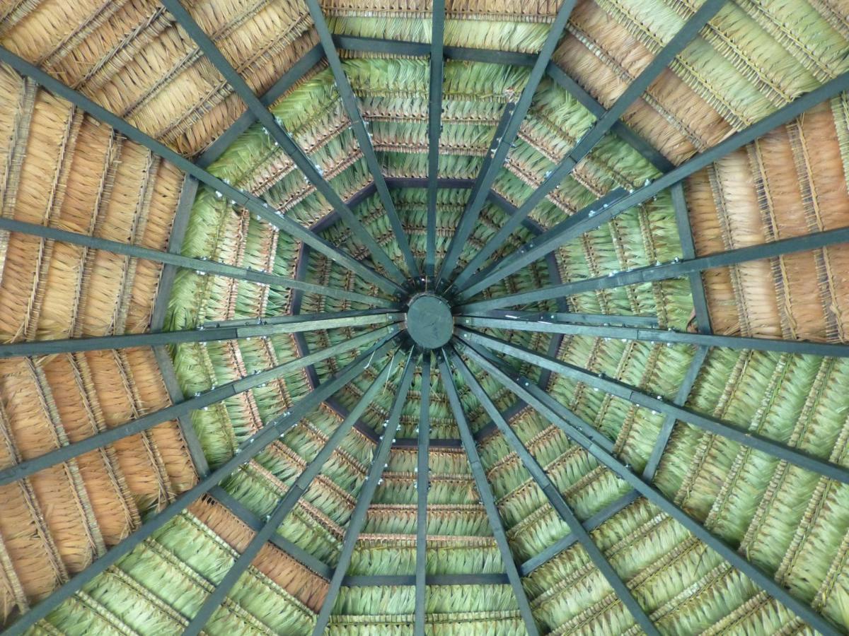 Hotel Amazon Bed And Breakfast เลติเซีย ภายนอก รูปภาพ